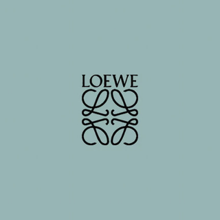 pre owned Loewe bags