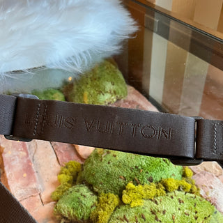 LOUIS VUITTON Olav PM Damier Ebene Canvas Crossbody Bag