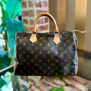 LOUIS VUITTON Speedy Monogram 30