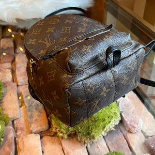 LOUIS VUITTON Palm Springs Mini Monogram Backpack