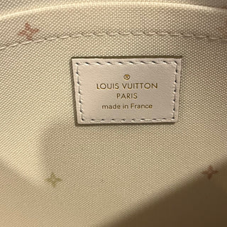 LOUIS VUITTON Neverfull Pochette Spring in the City Sunset Khaki Pochette Bag