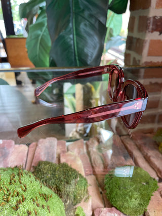 CELINE CL4002UN Burgundy Sunglasses TS3480