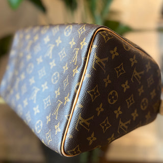 LOUIS VUITTON Speedy 30 Monogram