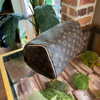 LOUIS VUITTON Speedy 25 Brown Monogram Canvas Satchel