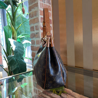 LOUIS VUITTON Galleria PM Brown Monogram Canvas Hobo Bag