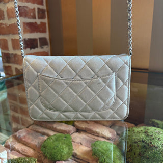 CHANEL Silver Wallet On Chain