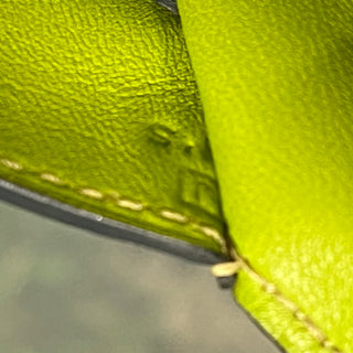 HERMES Chaine D'Ancre Vert Anis Chevre Myzore Clutch