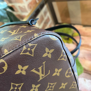 LOUIS VUITTON NéoNoé Brown and Black MM