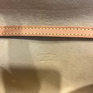 LOUIS VUITTON Twin PM Monogram Canvas Crossbody Bag