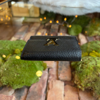 LOUIS VUITTON Capucines XS Wallet Black/ Pink Taurillion