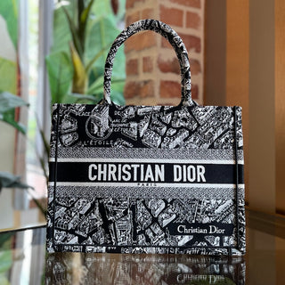 DIOR Small Plan de Paris Embroidered Canvas Book Tote Bag