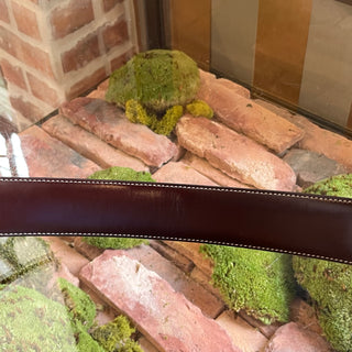 GUCCI Beige Brown GG Supreme Reversible Belt 100/40(12US)