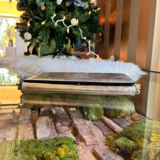 SAINT LAURENT Belle De Jour Silver Chain Clutch