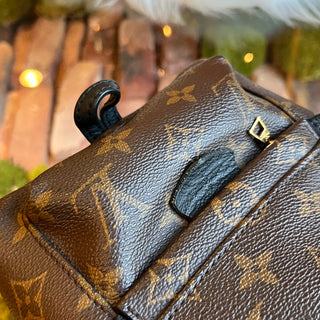 LOUIS VUITTON Palm Springs Mini Monogram Backpack