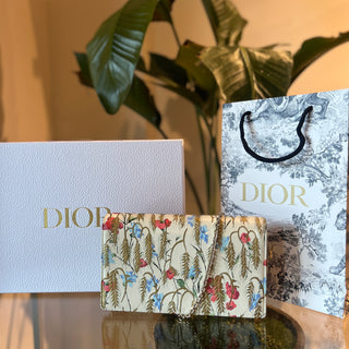 Christian Dior Multicolor Calfskin Lady-Dior Wallet on Chain