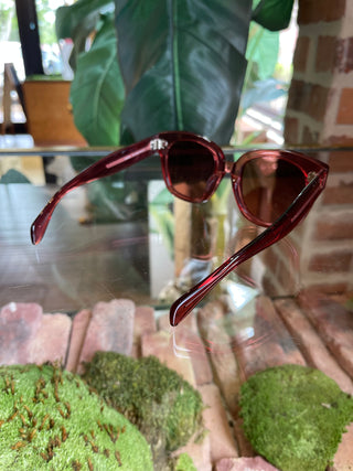 CELINE CL4002UN Burgundy Sunglasses TS3480