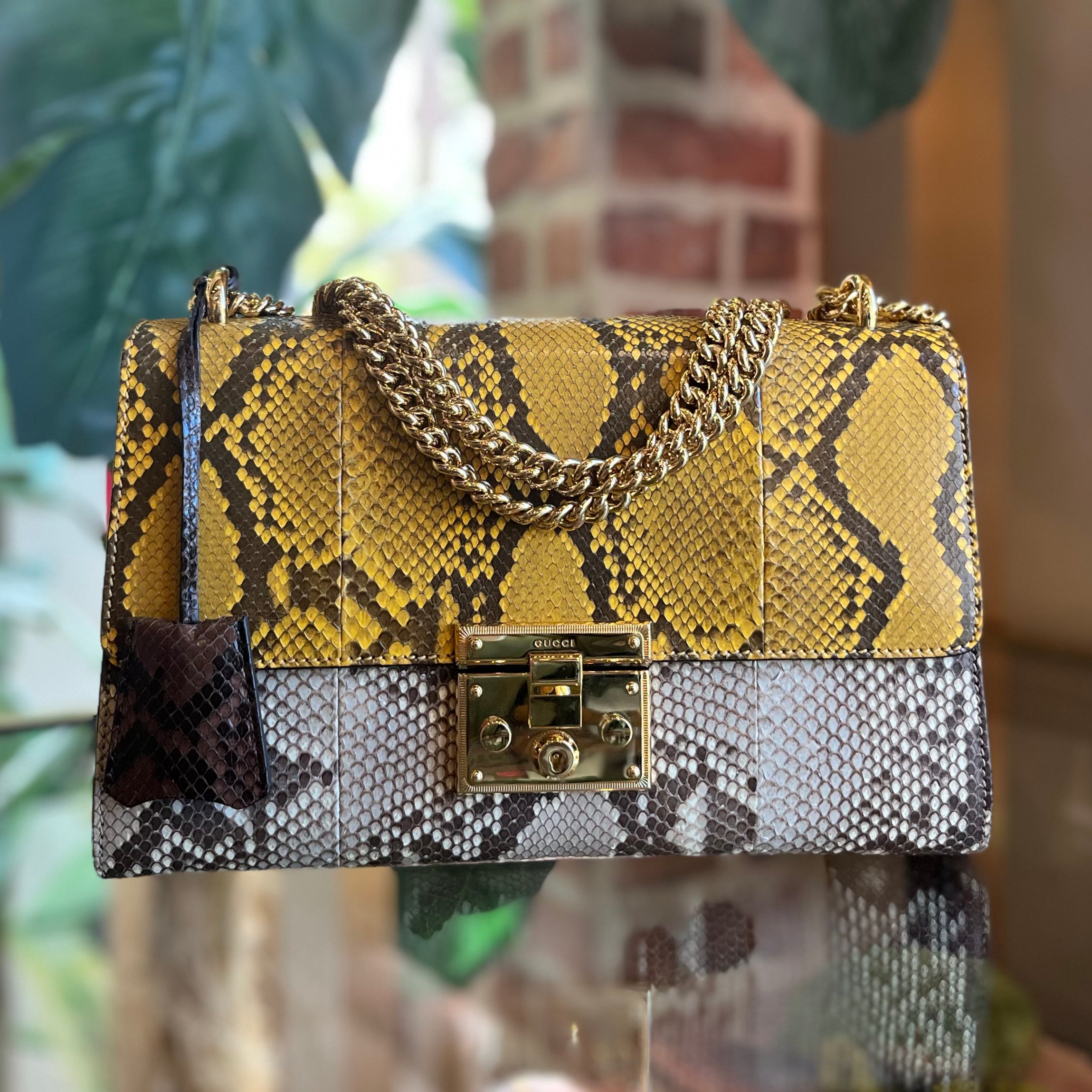 Gucci snake shoulder on sale bag