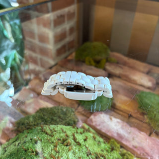 MICHELE White Deco Diamond Ceramic Watch