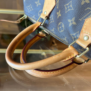 LOUIS VUITTON Speedy 30 Monogram