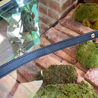 LOUIS VUITTON Multi Pochette Accessoires Bicolor Empriente Monogram Crossbody