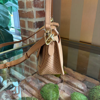 LOUIS VUITTON Noisette Minigram Diane Shoulder Bag