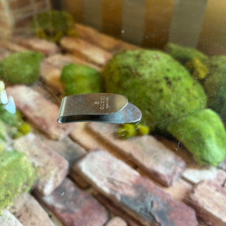 GUCCI Money Clip Silver