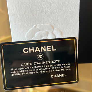 CHANEL Double Zip Clutch