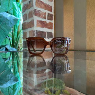 FERRAGAMO SF1041S 232 Transparent Brown Acetate Square Sunglasses