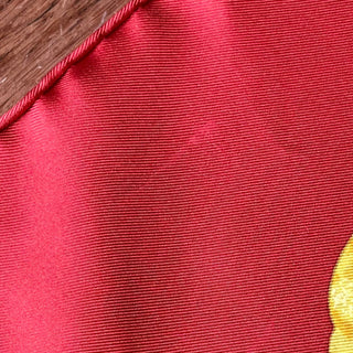 HERMES 1994 Couvée D' Caty Latham Silk Scarf