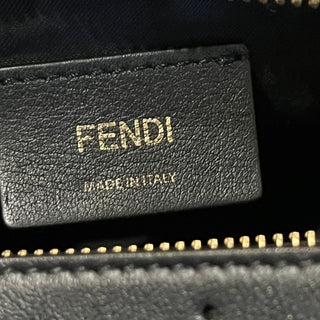 FENDI Fendigraphy Small Black Vitello Grace Matte Hobo Bag