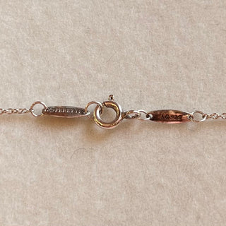 TIFFANY&CO. Elsa Peretti Diamonds By The Yard Silver Necklace