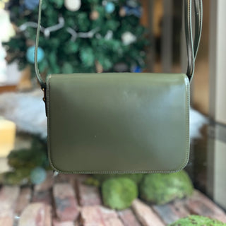 CELINE Triomphe Classique Medium Green Shiny Calfskin Shoulder Bag