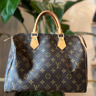 LOUIS VUITTON Speedy 30 Monogram