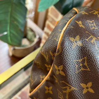 LOUIS VUITTON Speedy Monogram 30