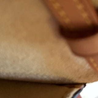 LOUIS VUITTON Twin PM Monogram Canvas Crossbody Bag