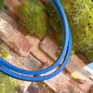 GOYARD Anjou PM Blue Goyardine Canvas Reversible Tote