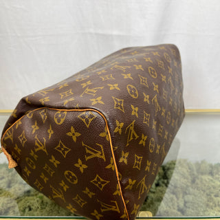 LOUIS VUITTON Speedy 30 Monogram