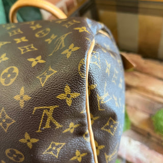 LOUIS VUITTON Speedy Monogram 30