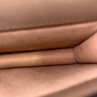 GUCCI Super Mini Dionysus Supreme Canvas Crossbody Bag