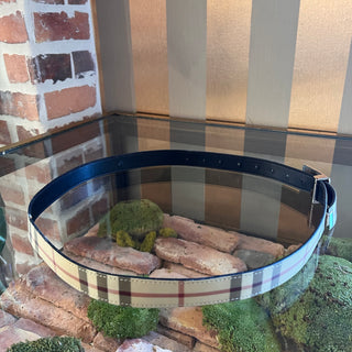 BURBERRY Coated Canvas Nova Check Belt SZ 40/100 (Large)