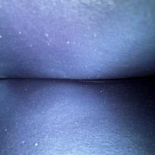 LOUIS VUITTON Shimmery Ink Empriente Wallet Zippy