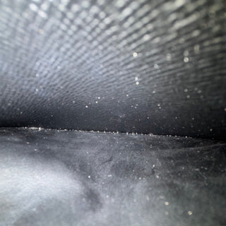 LOUIS VUITTON Epi Leather Twist Wallet on Chain