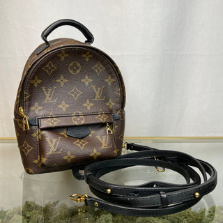 LOUIS VUITTON Mini Palm Springs Brown Monogram Backpack ADI11095