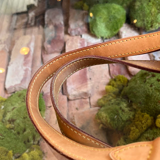 LOUIS VUITTON Palermo PM Monogram Canvas Tote Bag