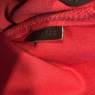 LOUIS VUITTON Favorite PM Damier Ebene Canvas Crossbody Bag