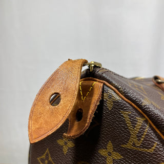 LOUIS VUITTON Speedy 30 Monogram