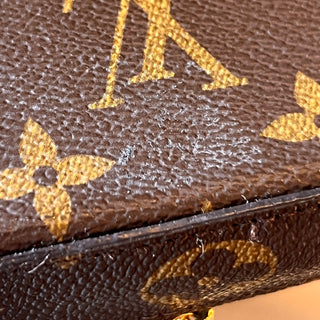 LOUIS VUITTON Felicie Monogram Pochette