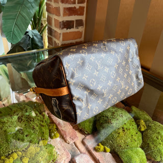 LOUIS VUITTON Monogram World Tour Speedy 30 Bandouliere