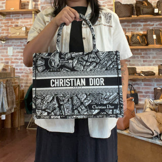 DIOR Small Plan de Paris Embroidered Canvas Book Tote Bag