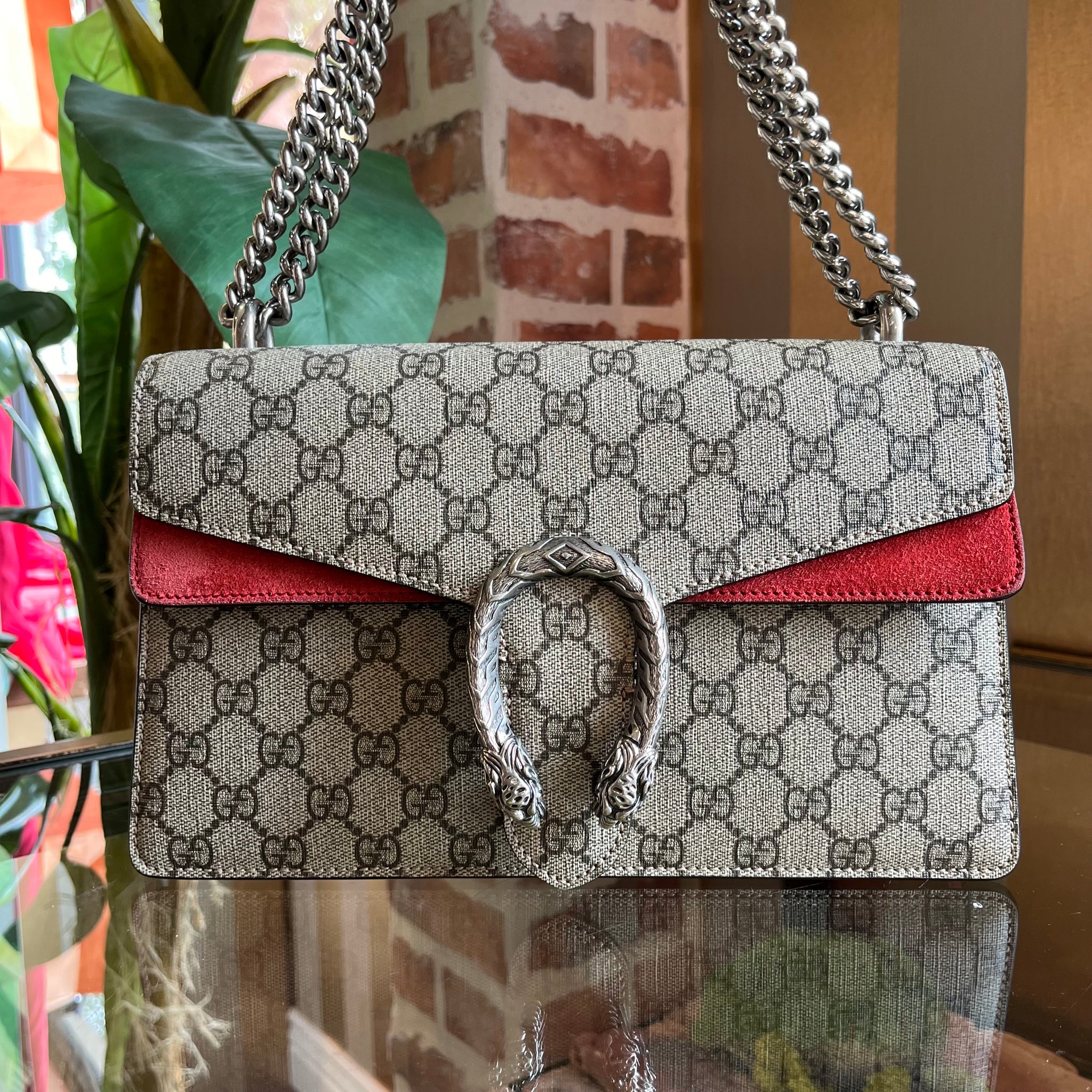 GUCCI Red Trim Dionysus Small Shoulder Bag The Purse Ladies